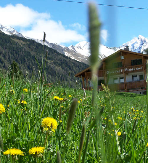 Gasthof Pichlerhof Rein in Taufers im Hochsommer